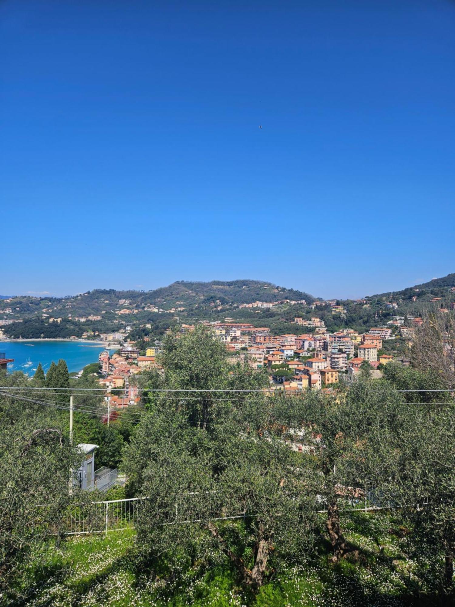 Villa Degli Ulivi - Free Parking 莱里奇 外观 照片